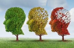 Eye Exams May Help Identify Early Signs of Alzheimer's